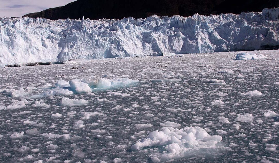 地球環境の危機的な状況をご存じですか？