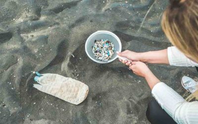 マイクロプラスチックが地球環境に与える悪影響を知っていますか？