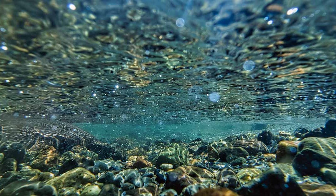 水の性質・・・情報の記憶と伝導