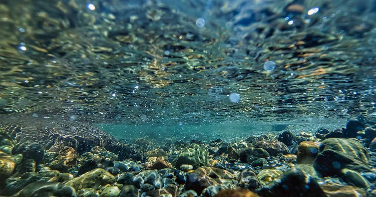 水の性質・・・情報の記憶と伝導