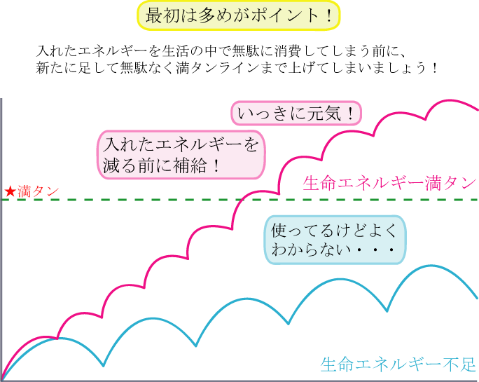 Happy変身プログラム 最初は多めがポイント！